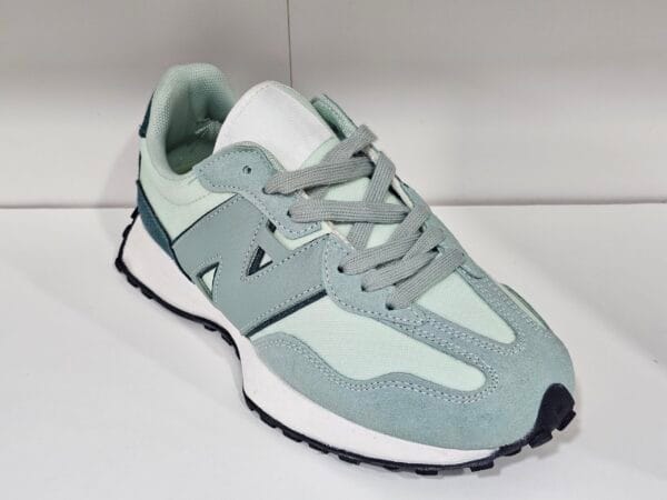 20250114_125312 Art W667 green