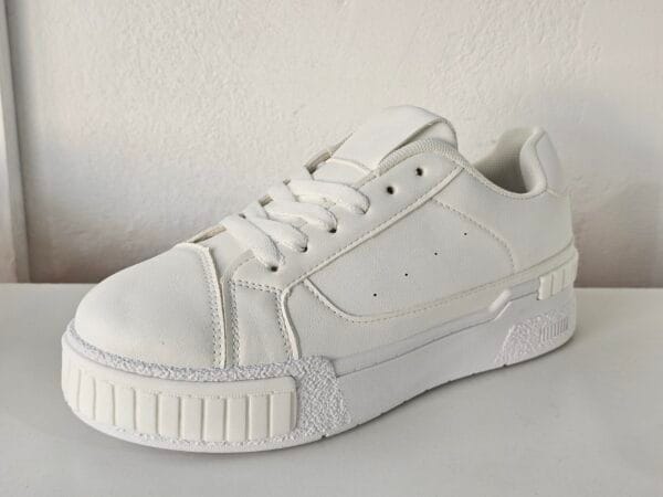 20250122_105110 Art BM87-5 all white