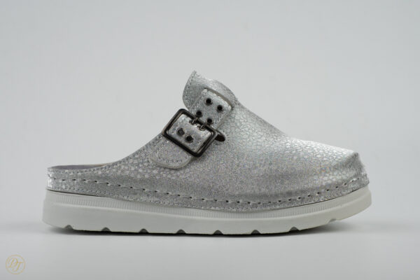 1541139, silver